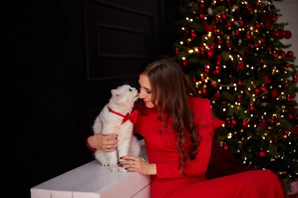 дай поцелую