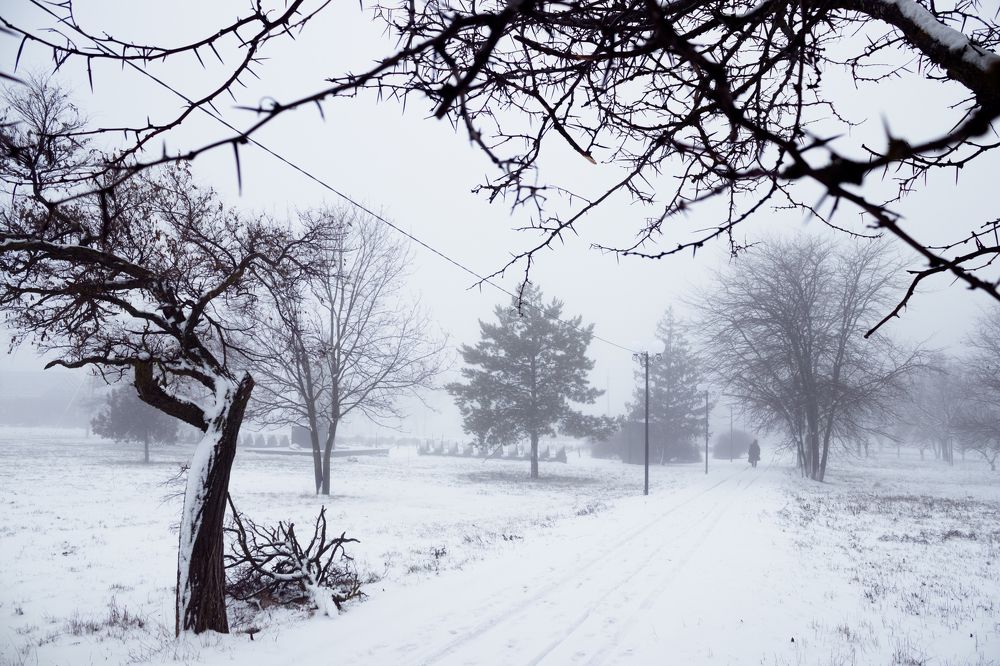 The Kingdom Of Icing Sugar