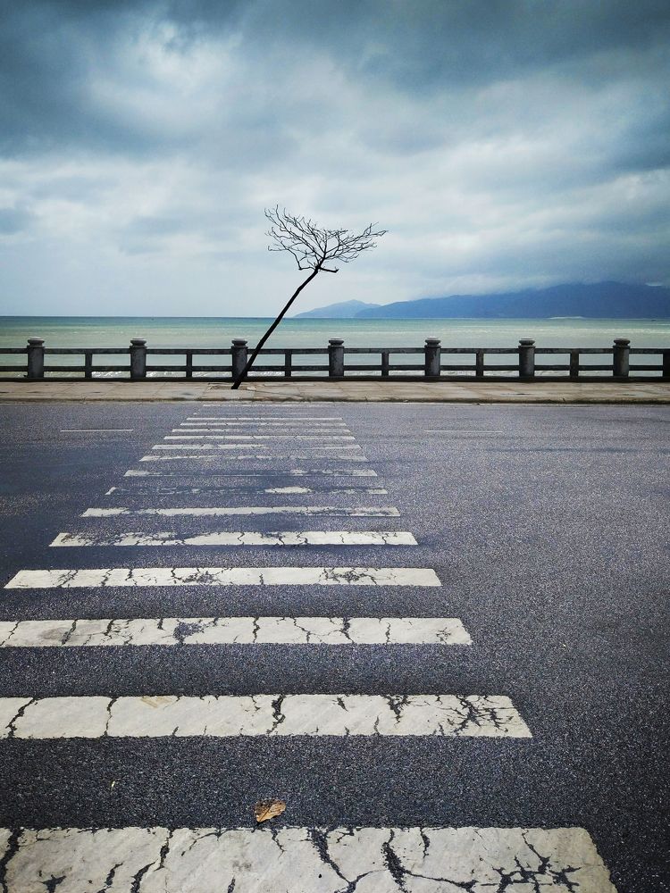 Дорога в Никуда.