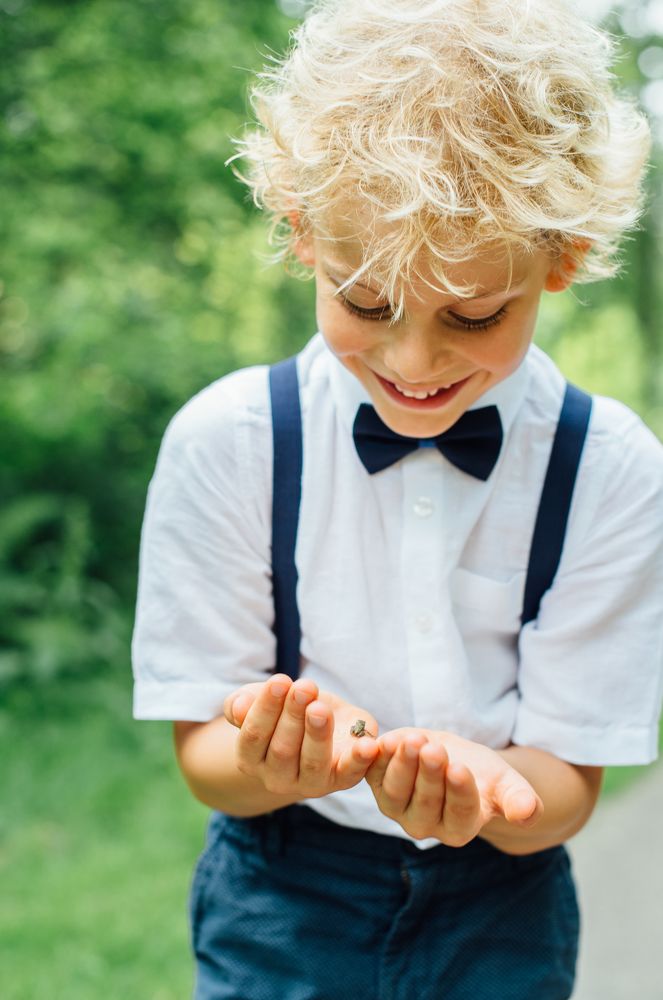 Царевня-лягушка