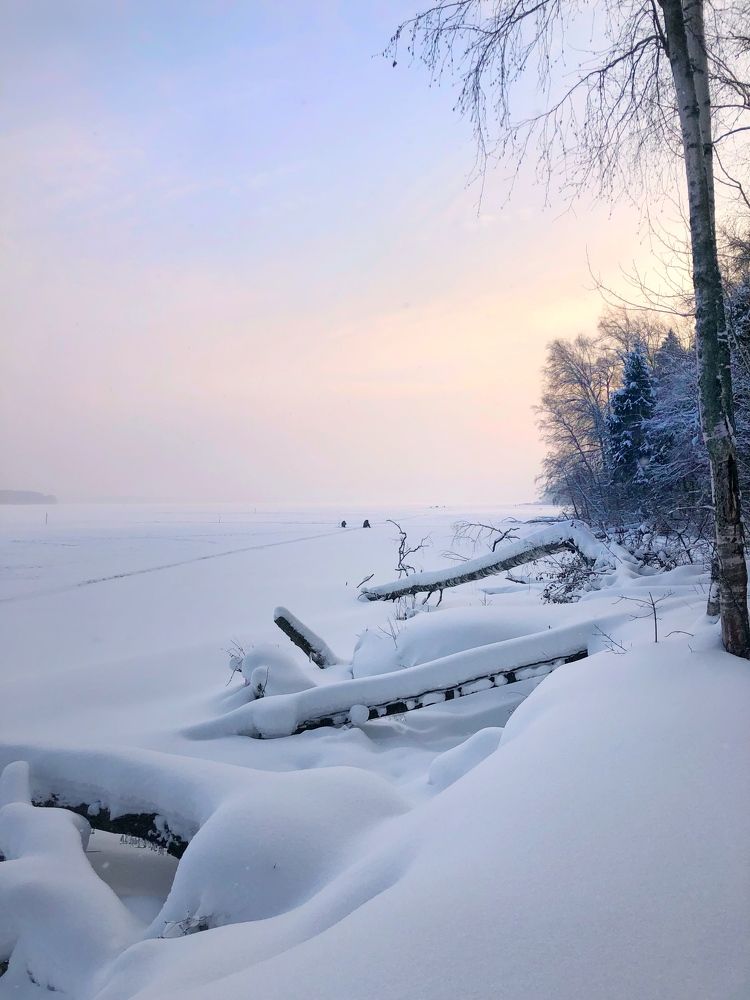 Белоснежное раздолье
