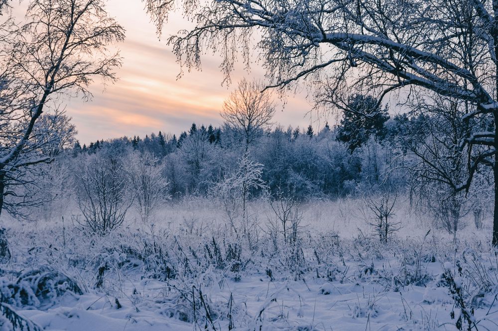 Зимний туман