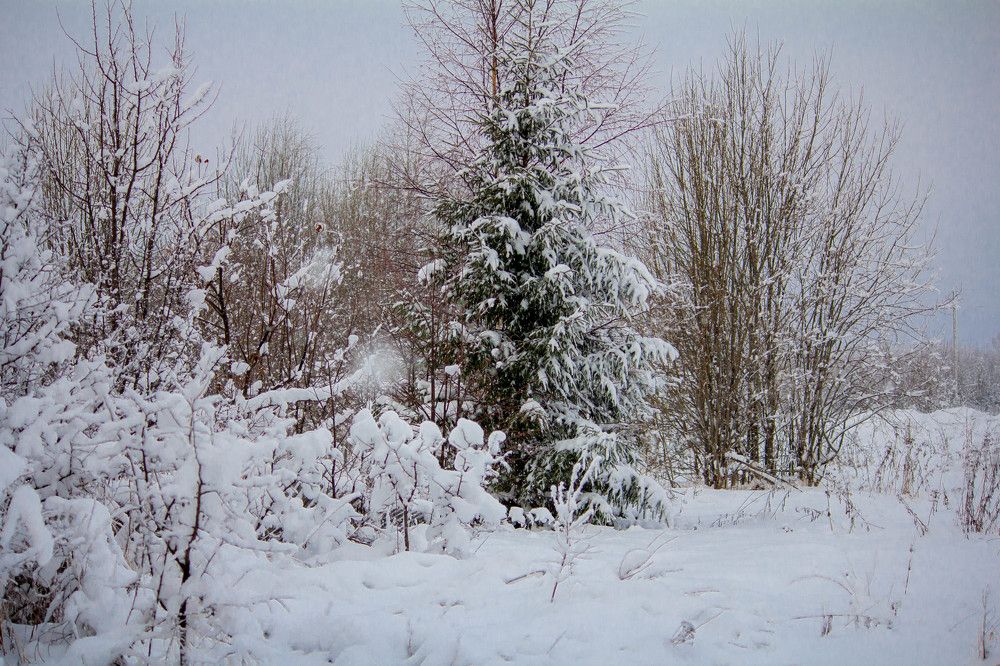 Зимний пейзаж