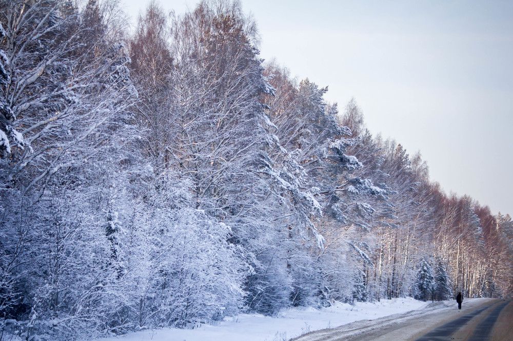 Дорога в сказку