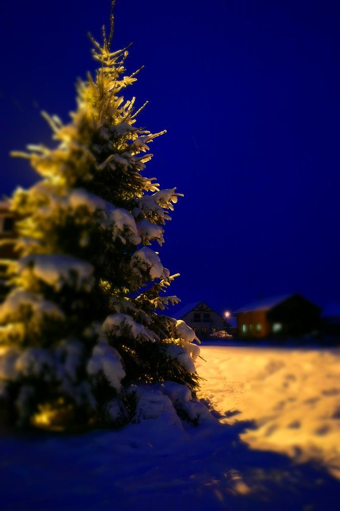 "— Что происходит на свете?— А просто зима..."