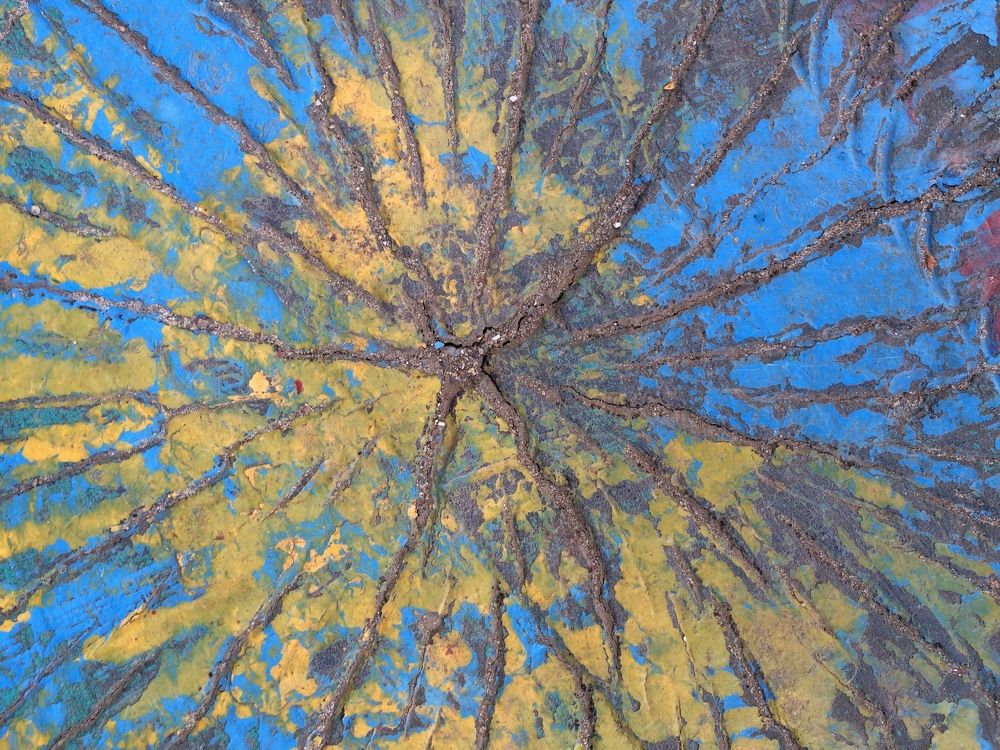 жизнь дерева