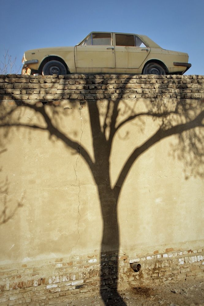 Car & tree shadow in life