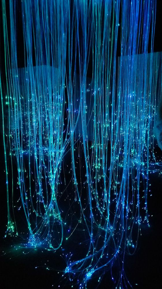 дерево нави