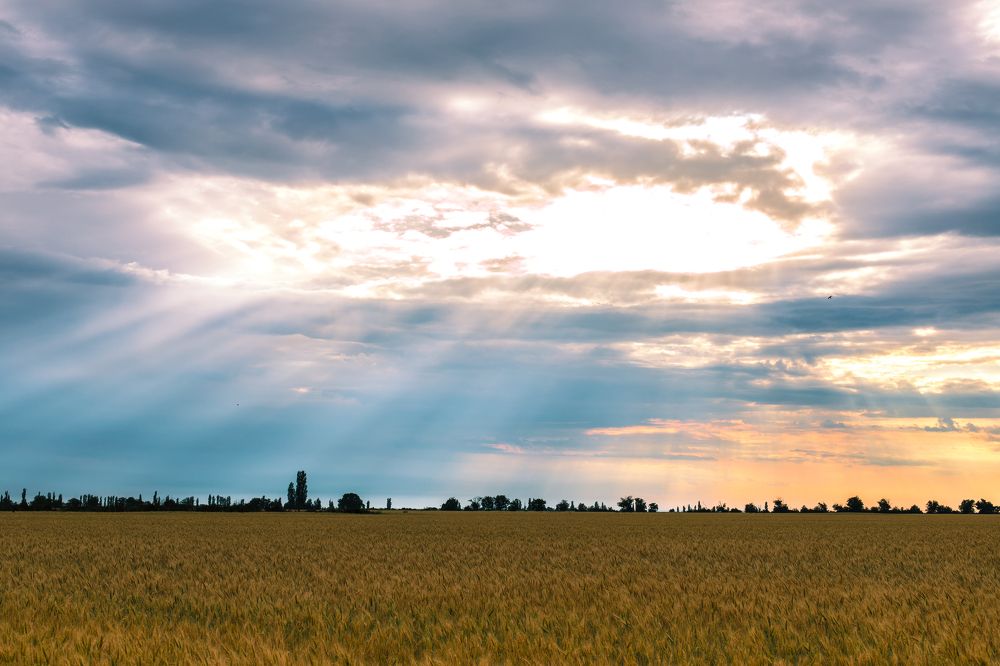Закат после дождя