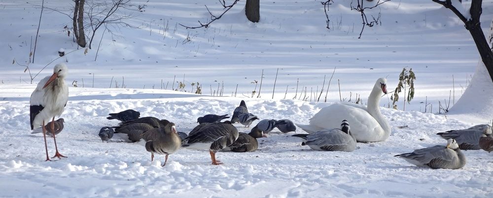 Фотография автора Валентина Гундарева