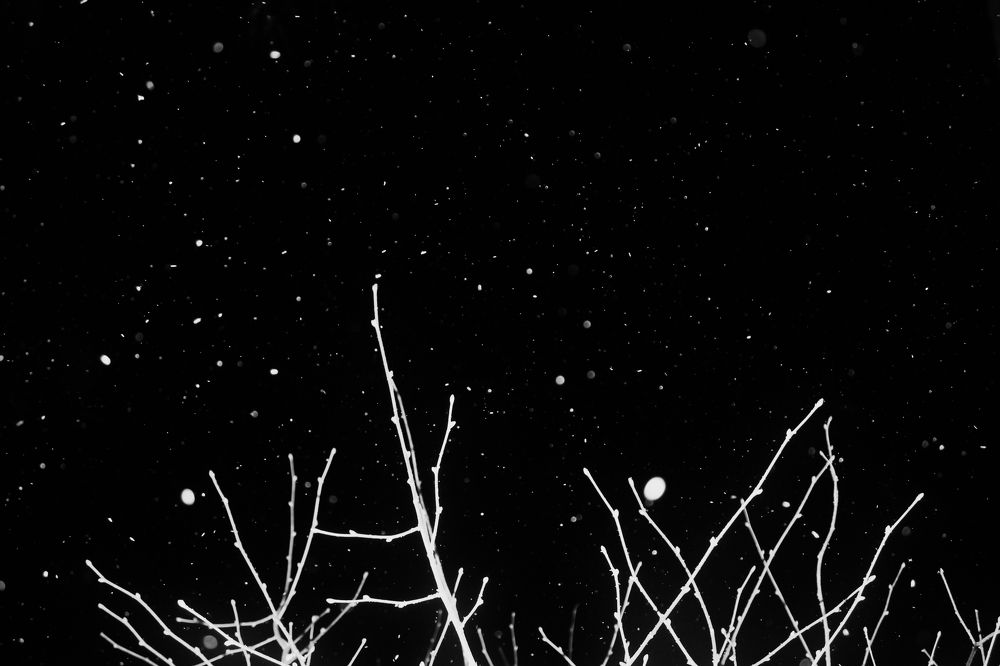 Февраль. Достать чернил и плакать!