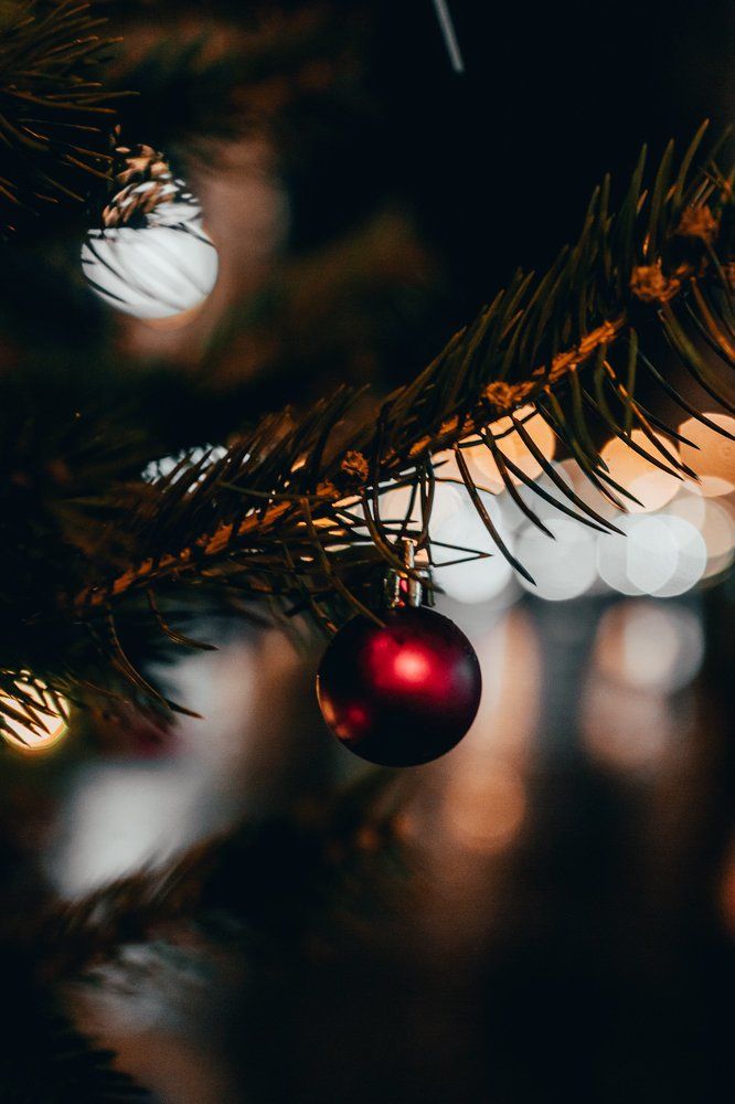 Photograph by Дмитрий Кириченко