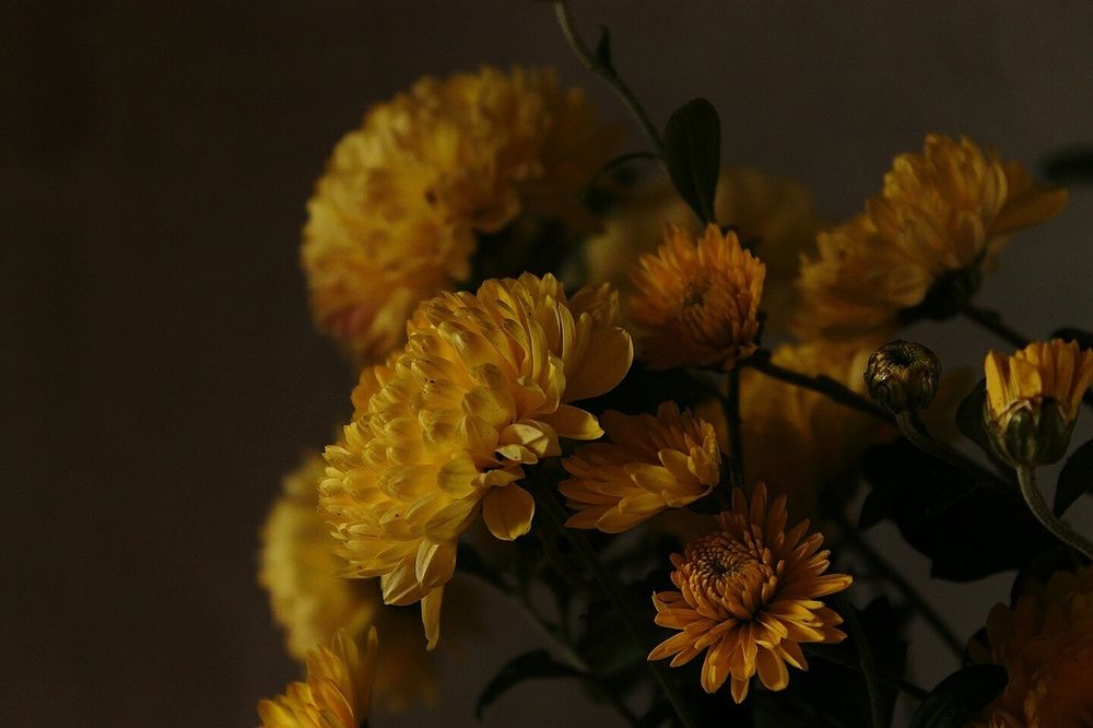 живое золото