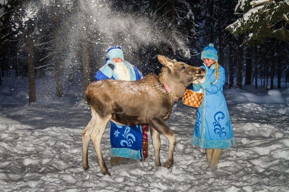 Не мужское это дело, лосят кормить...