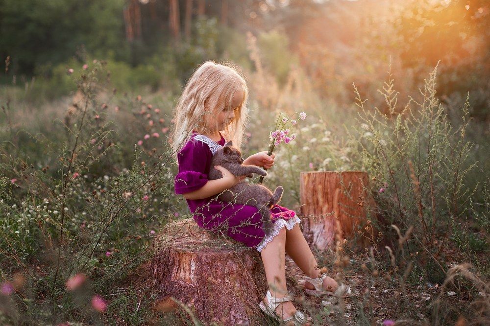 Мы в ответе за тех, кого приручили...