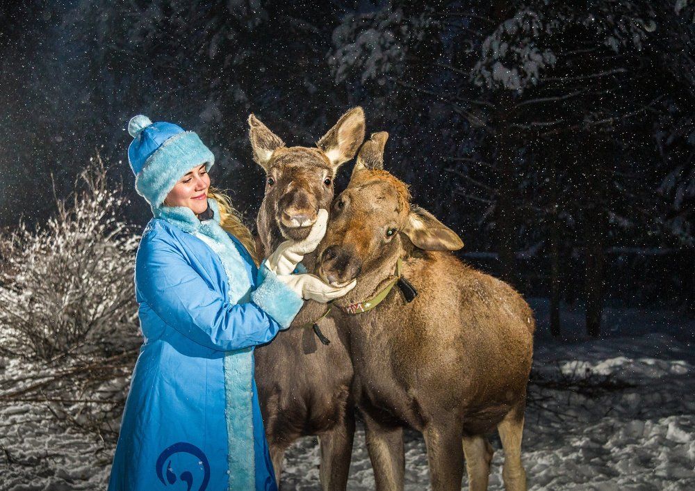 Дети - они и у лосей Дети.
