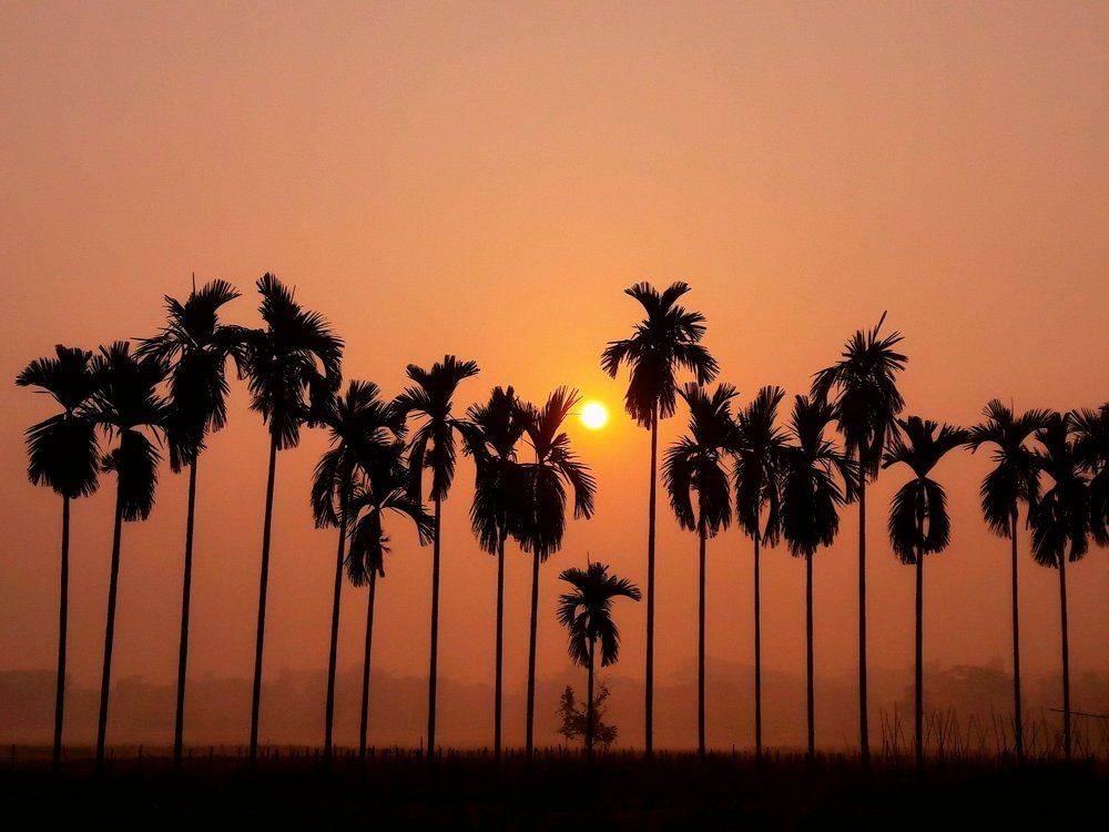 Sunrise in Bangladesh
