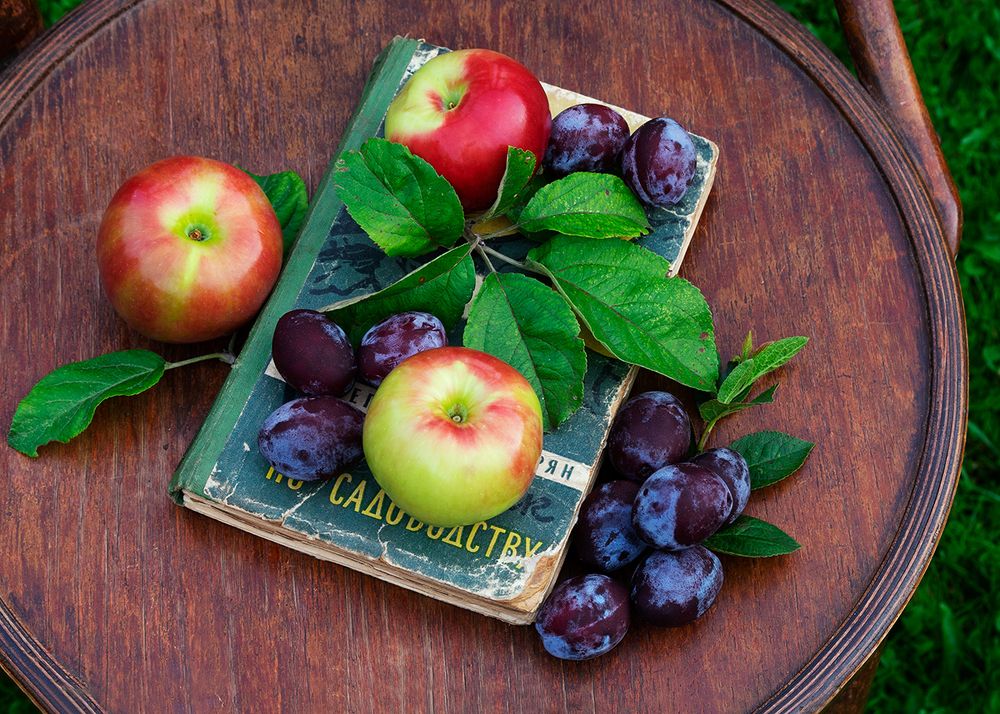 Old gardening guide..