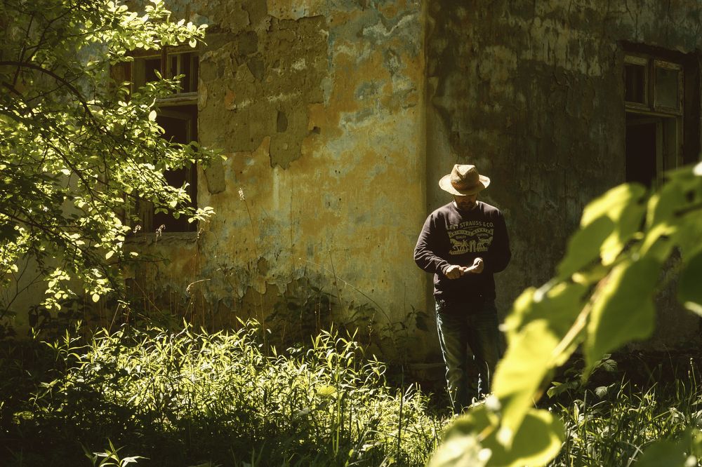 Солнечное Подмосковье