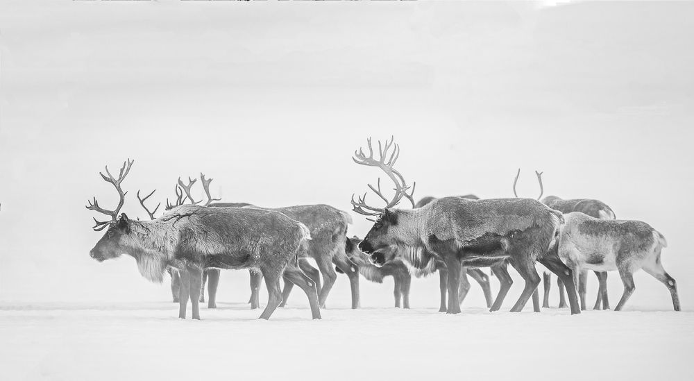 Ранним утром