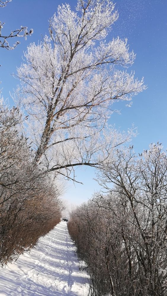 Аллея