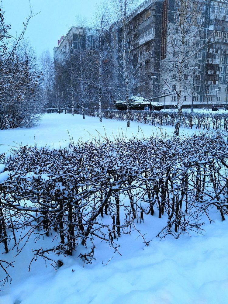 Зимняя красота!