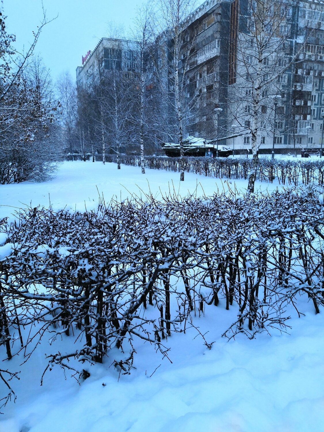 Зимняя красота!