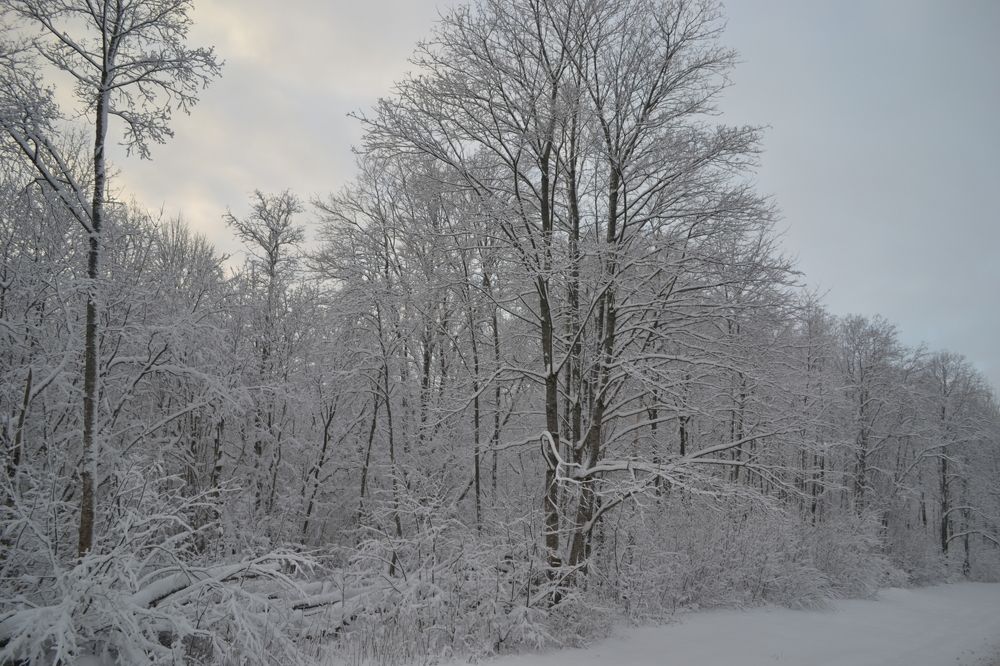 Photograph by Игорь Лебедев