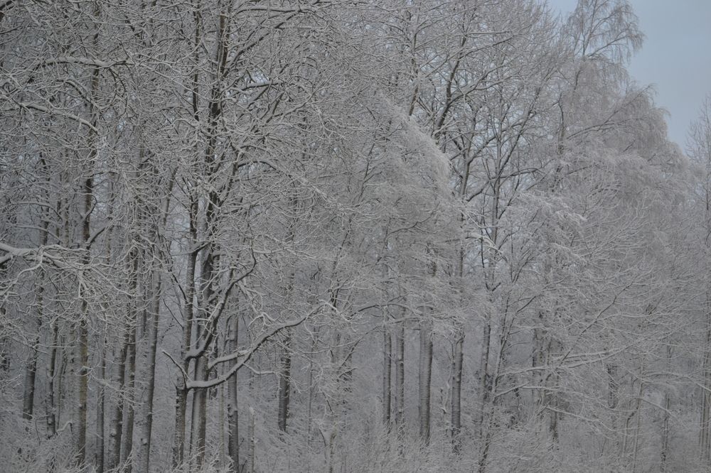 Русская зима