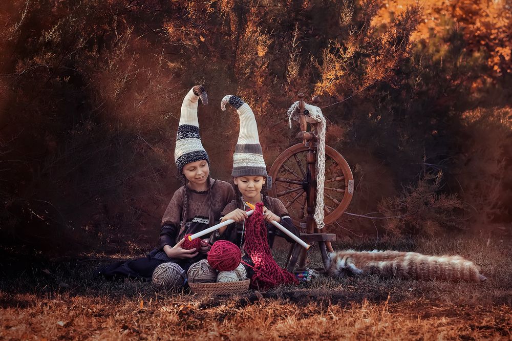 из жизни Гномов