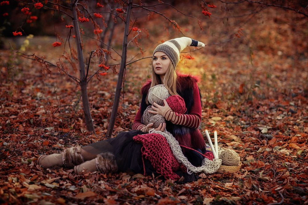 из жизни Гномов