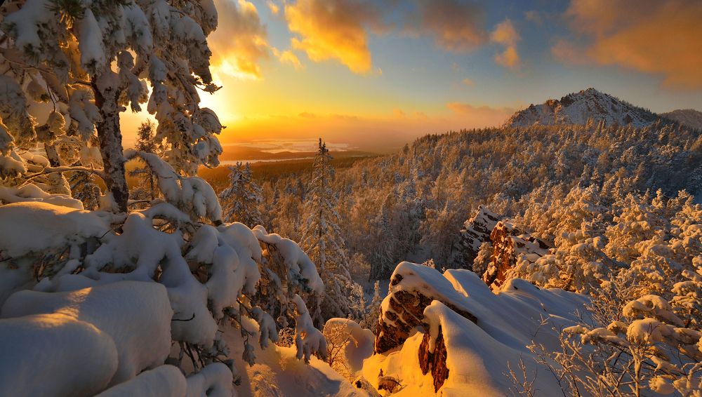 Янтарный январь