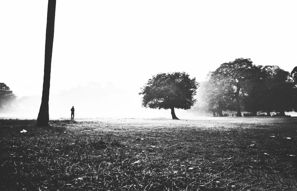 Dream Land
