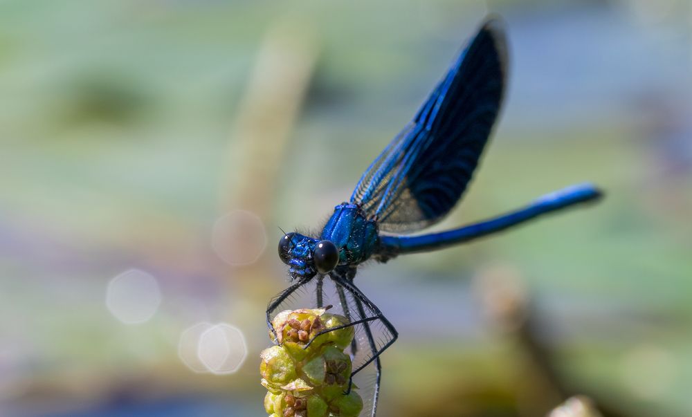 Photograph by Сергей Тригуб