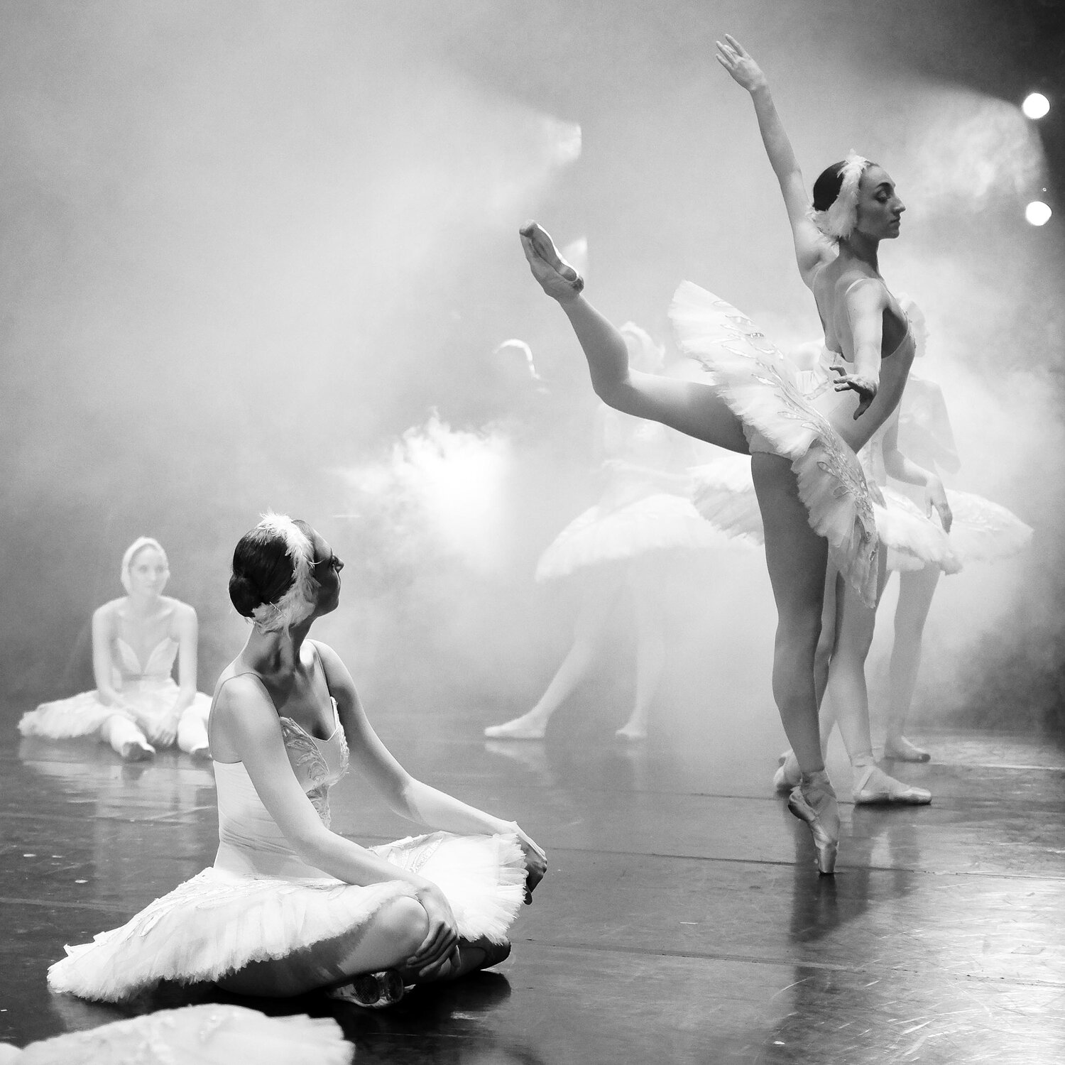 Photo #2859036