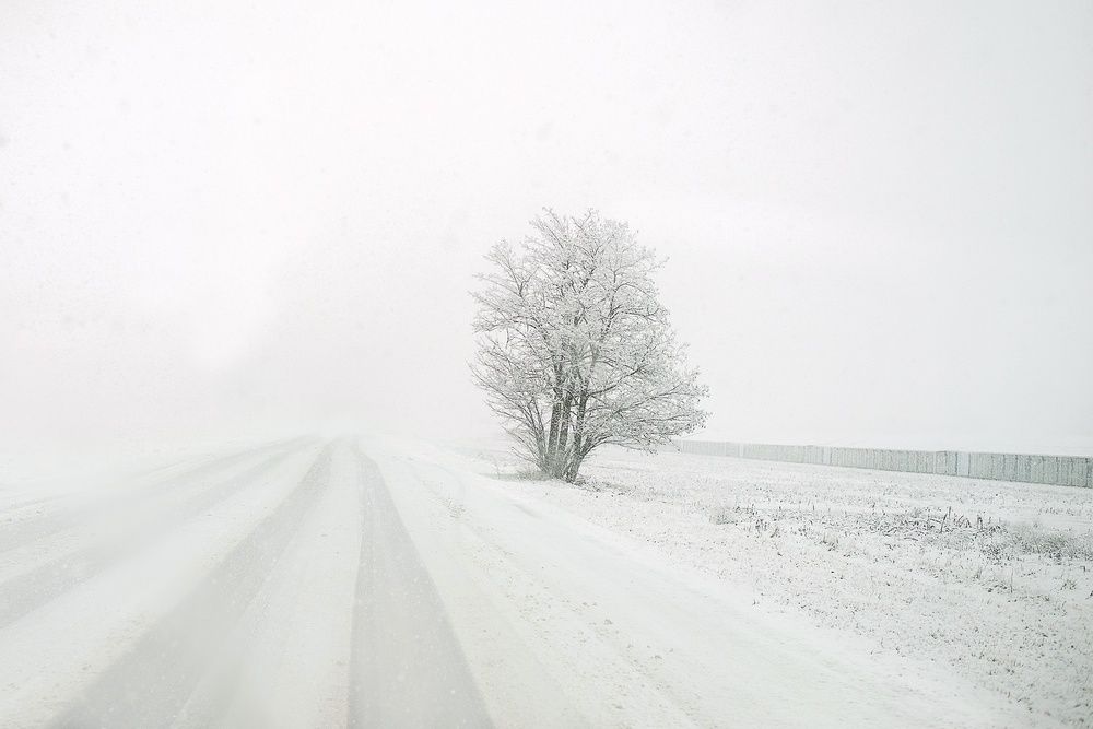 По дороге в Гузерипль