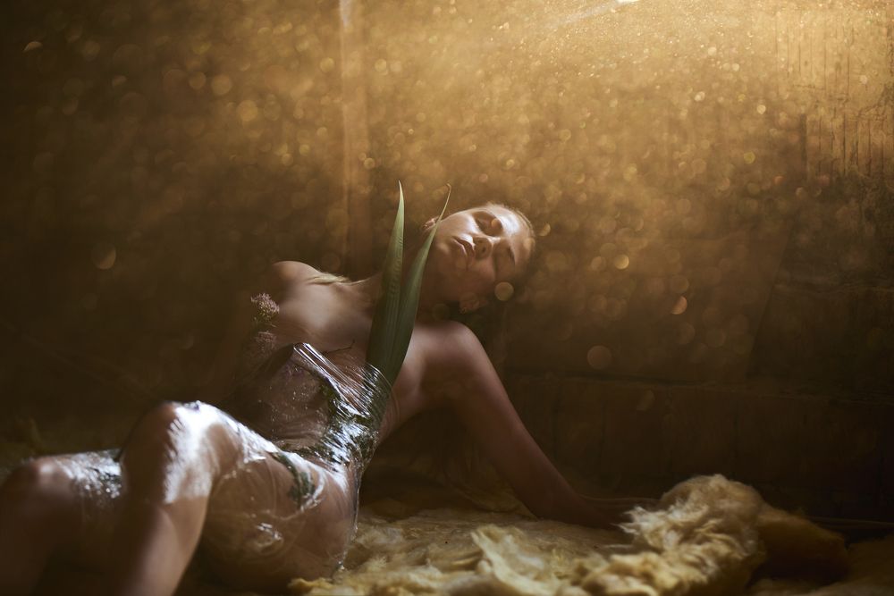 Photograph by Yuriy Raccoon