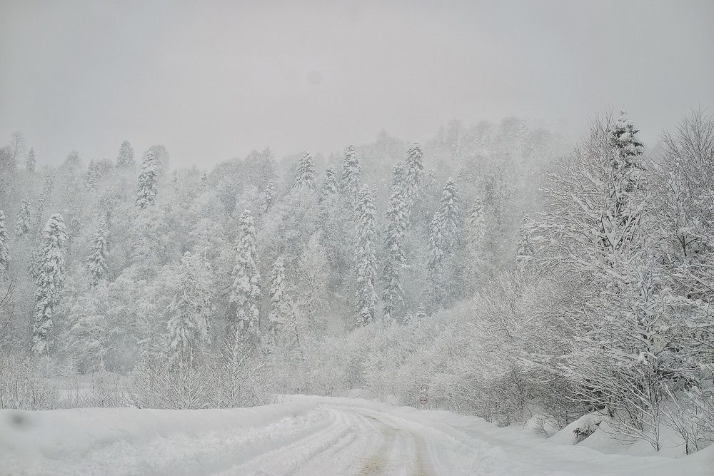 Вперед, на покатушки
