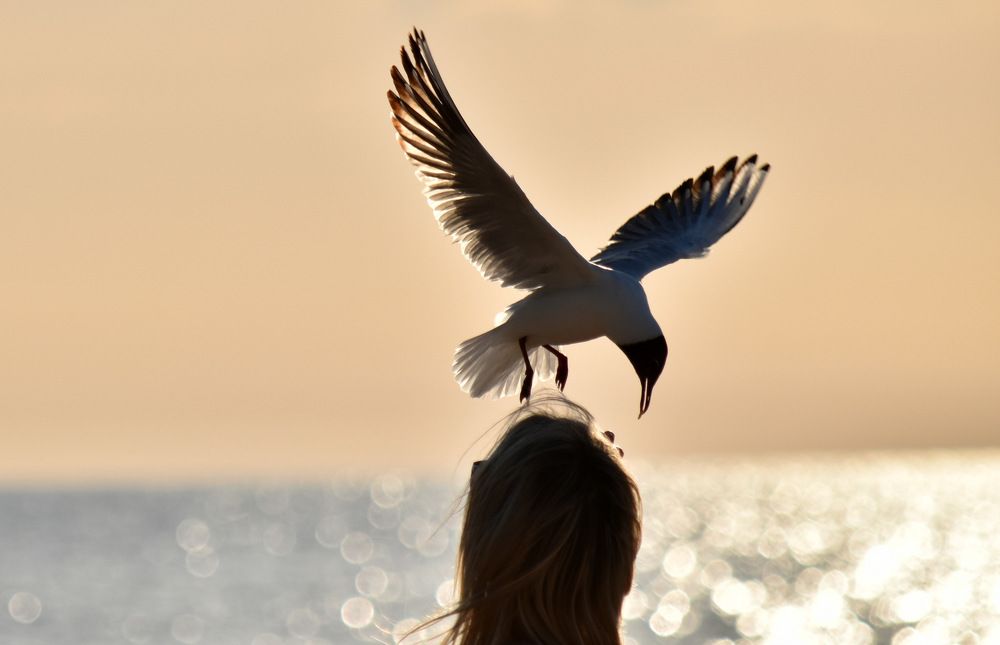 Give me another bite, please / Дайте мне еще кусочек, пожалуйста