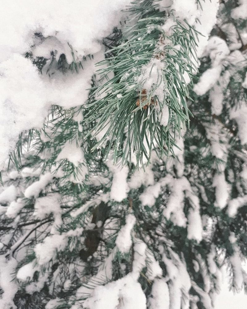 Красота, которую мы не замечаем