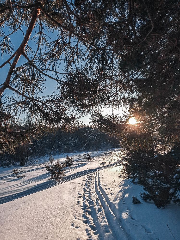 Photograph by Matvey