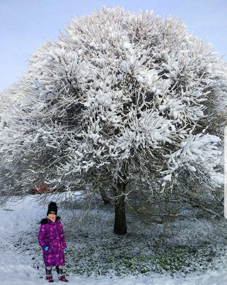 Прогулка