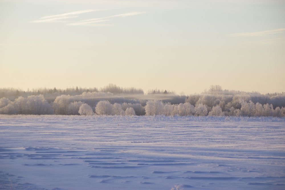 Горизонтали