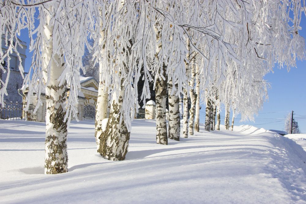 Русские красавицы