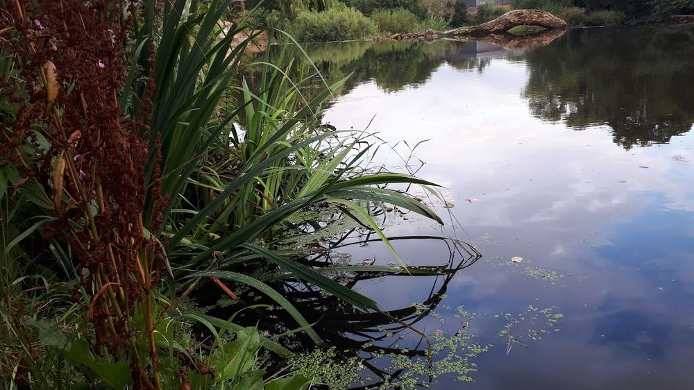 Riverside