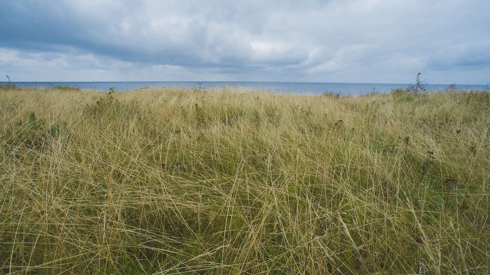 Стремление