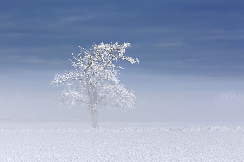 Зимняя сказка