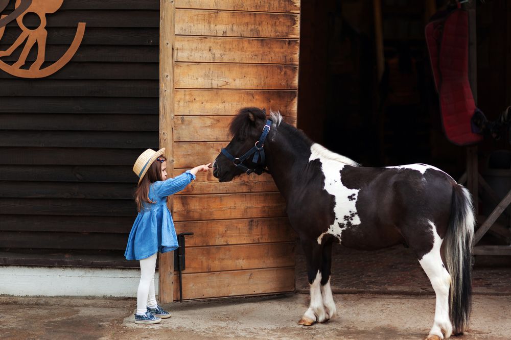 Photograph by Екатерина Панина