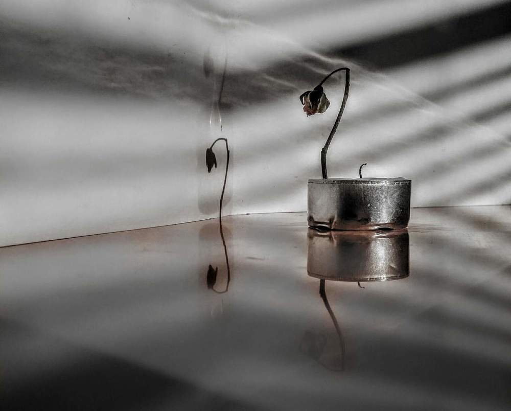 В рассветных лучах