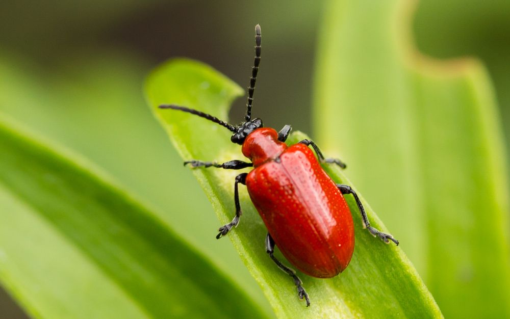 Photograph by Сергей Тригуб